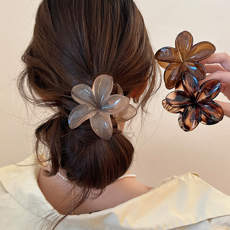 Women's Large-Size 8cm Brown B - Hair Claw Clip Set ulasan dan harga