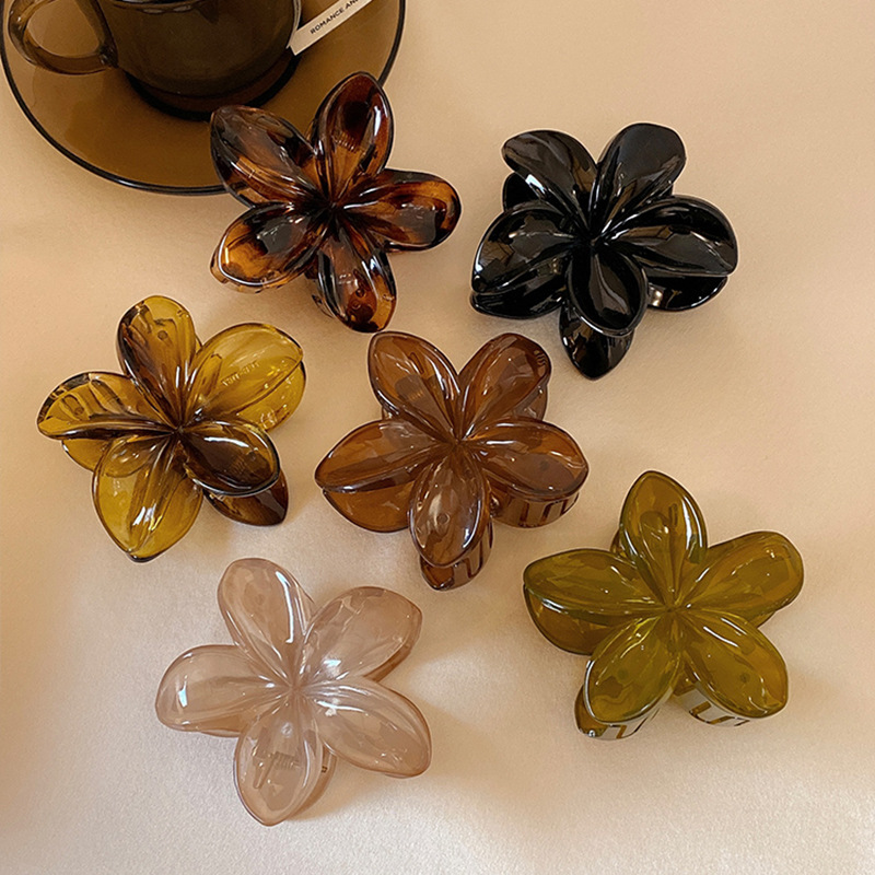 Women's Large-Size 8cm Brown B - Hair Claw Clip Set ulasan dan harga