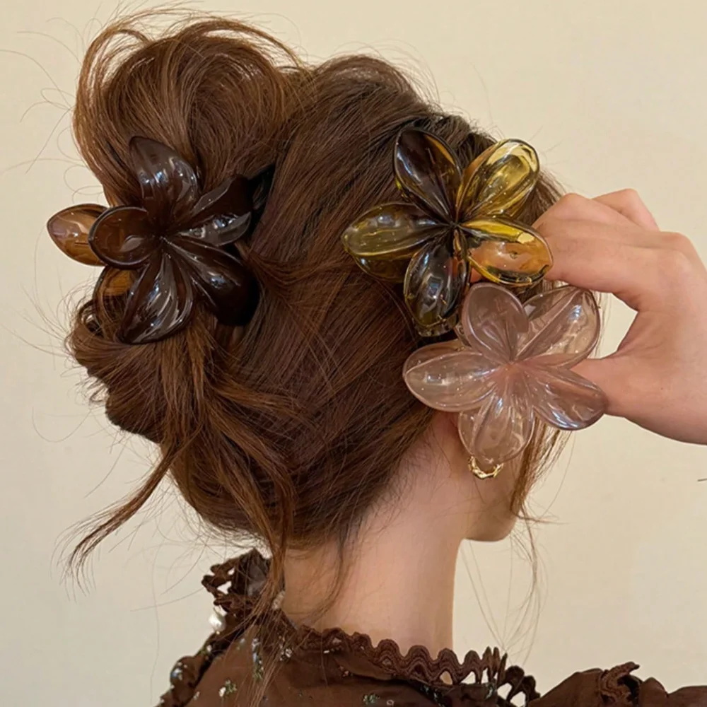 Women's Large-Size 8cm Brown B - Hair Claw Clip Set ulasan dan harga